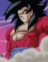 Ssj4