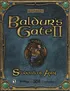 Baldur S Gate II Shadows Of Amn Coverart