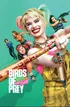 Birds Of Prey