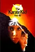 Karate Kid 3