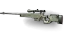 L118A1 MW3