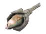 Holy Mackerel