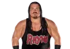 Rhyno Pro Baffd4a262b7d37d8f0a3de143d786c0