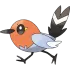 Fletchling