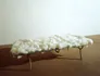 Jannis Kounellis Senza Titolo (1969)