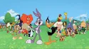 Looney tunes