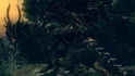 Black Dragon Kalameet [Dark Souls I]