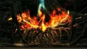 Boss 0016 Bed Of Chaos