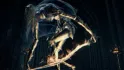 Dancer Of The Boreal Valley