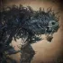 Darkbeast Paarl