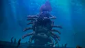 Metyr Mother Of Fingers Bosses Elden Ring Wiki 1200px