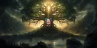 We are the Learning Tree