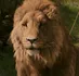 Aslan