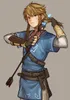 Link