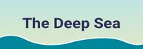 THE DEEP SEA