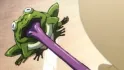 Toad