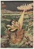 Kitsune