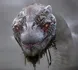 Jörmungandr