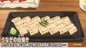Eel Shirayaki