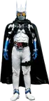 Kamen Rider Eternal