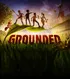 Grounded