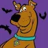 shaggy