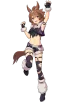 Shinko Windy 