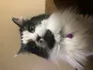 Dating Profile Pic Annie