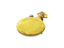 Duplicante