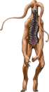 Pisaca