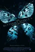 Butterfly Effect