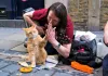 street cat named bob