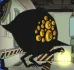BigBird