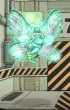 Fairy Festival