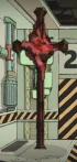 FleshIdol