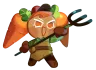Carrot Cookie