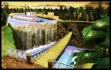 D.K.'s Jungle Parkway