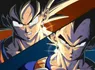 Goku And Vegeta (Dragonball)