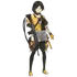 INSAS