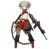 SIG 556
