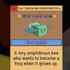 Tadpole Bee