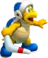 Boomerang Bro