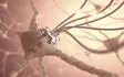 Unstoppable nanotechnology replication