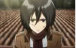 Mikasa (AOT)