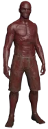 Dr.Matthew Cross (The Forest)