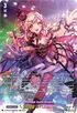 Dlbt04 Lsr02
