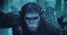 Dawn Of The Planet Of The Apes