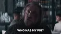 Pig