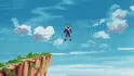 Cooler