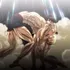 Baki Hanma VS Jack Hanma